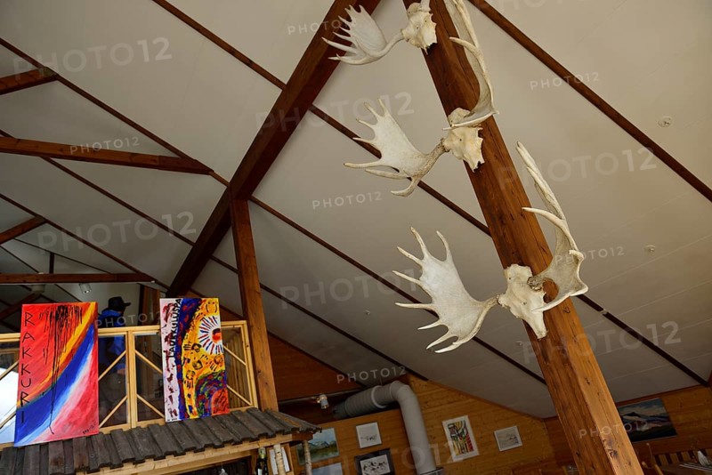 Elk antlers