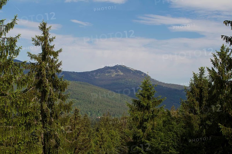 View to the Arber