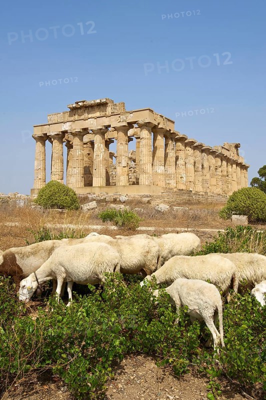Temple E