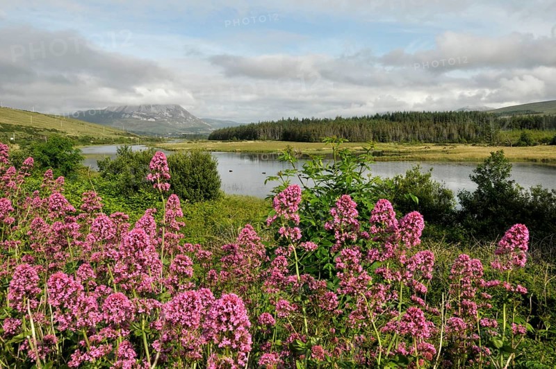 View of Mount Errigal from Gweedore