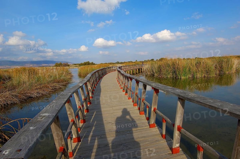 Daimiel