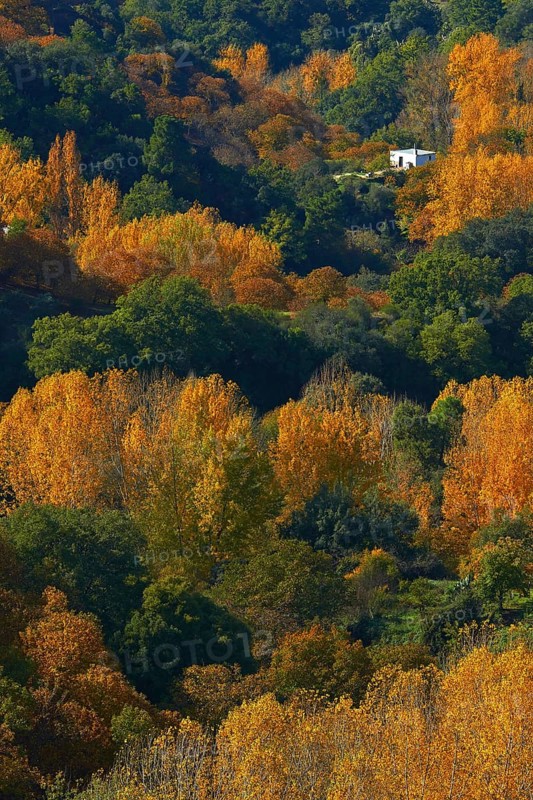 Valle del Genal