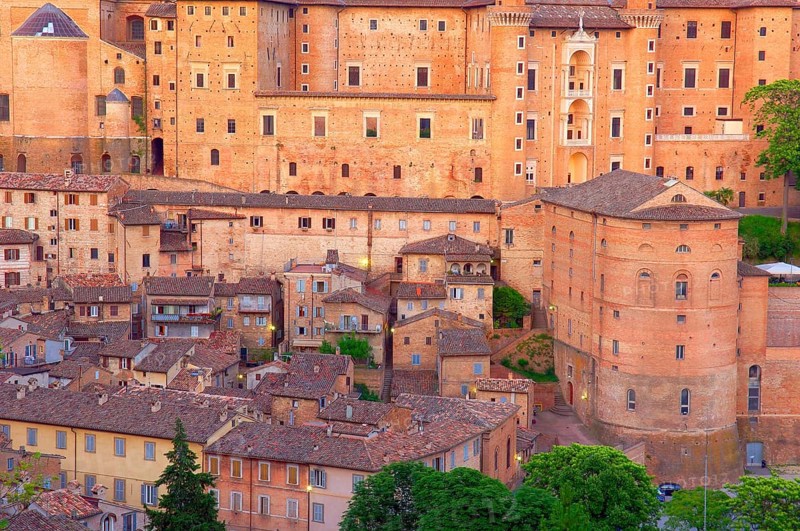 Urbino