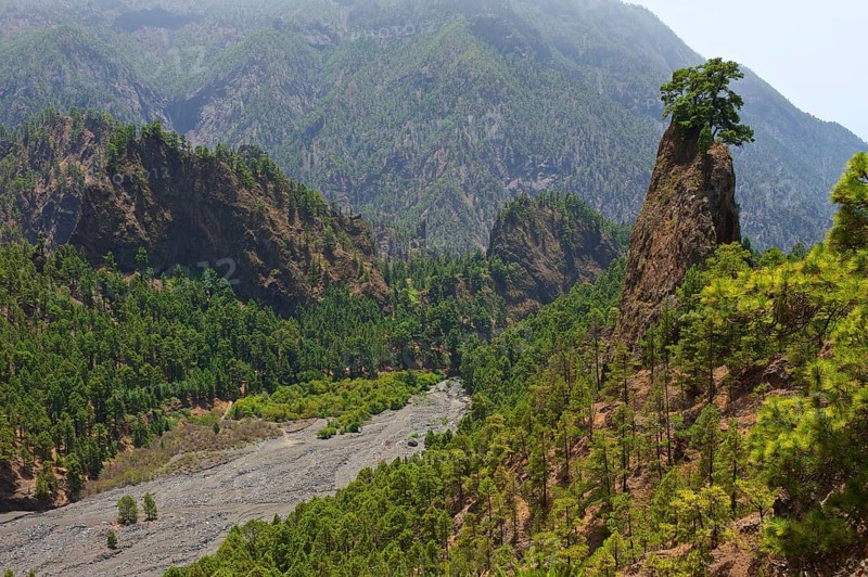 Parque Nacional de la Caldera de Taburiente