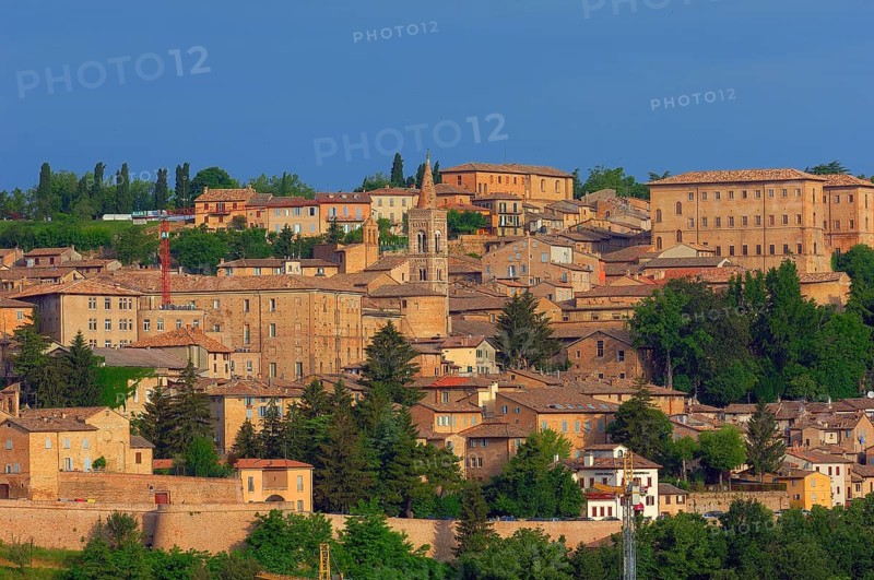 Urbino