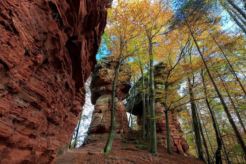 Natural Monument