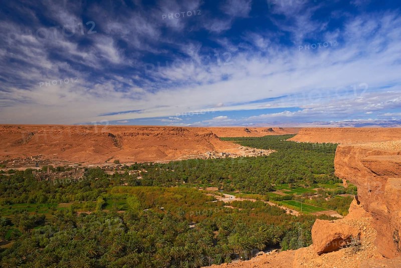 Tafilalet Oasis