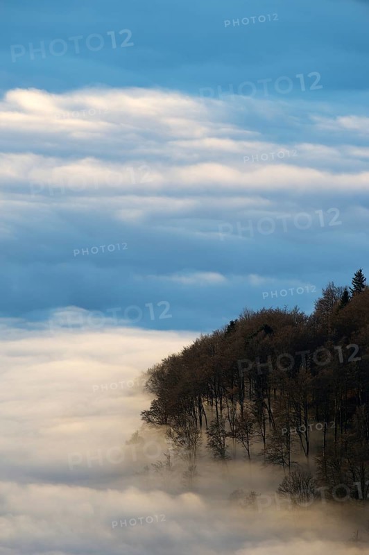 View from Hohneck