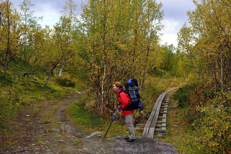 Trekking Nikkaluokta