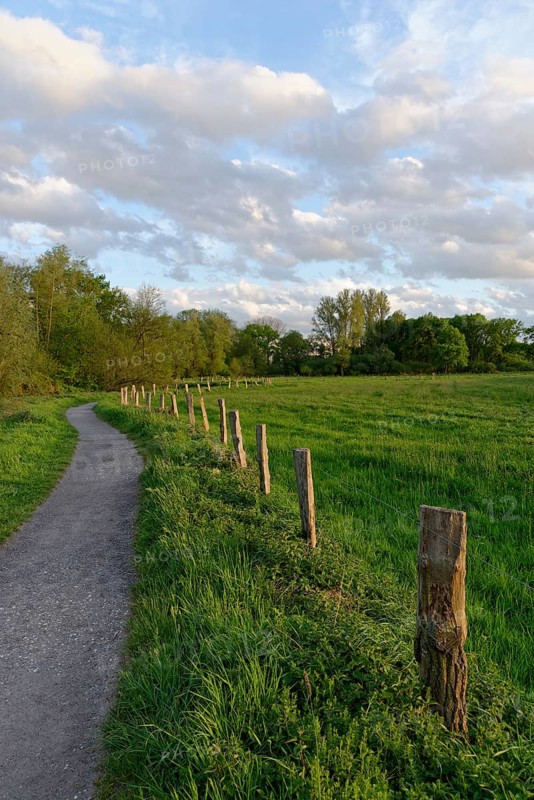 Path in the conservation area Schwalm-Nette