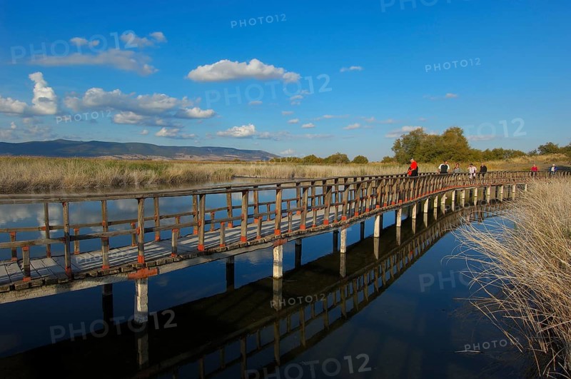 Daimiel