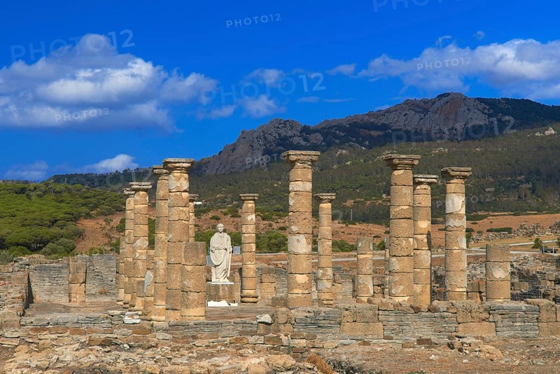 Bolonia