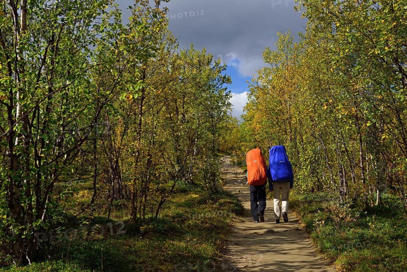 Trekking Nikkaluokta