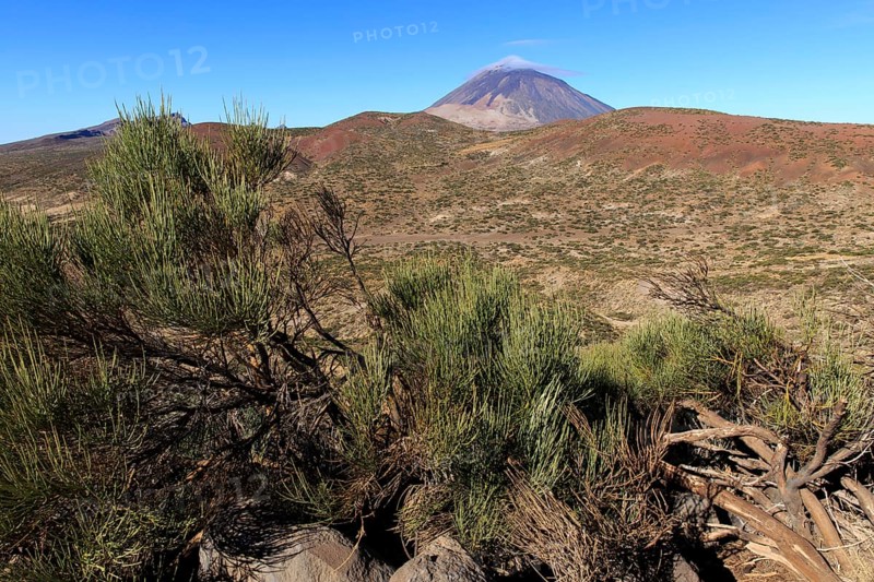 Tenerife