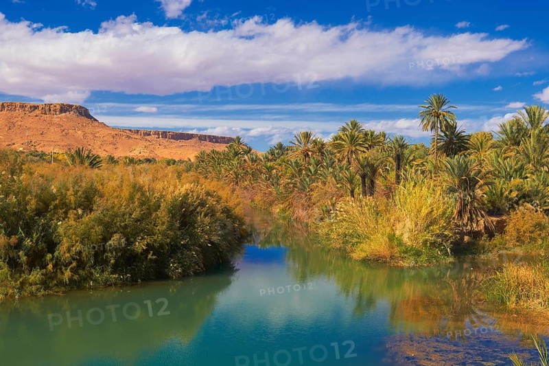 Tafilalet Oasis