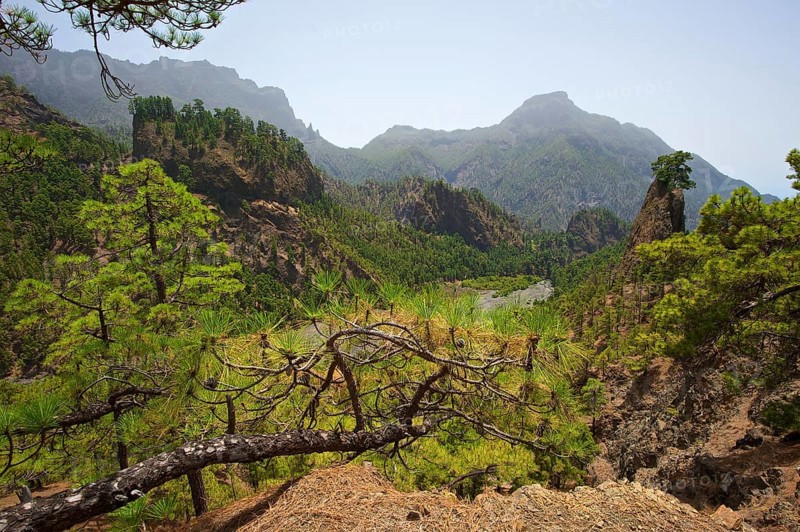 Parque Nacional de la Caldera de Taburiente
