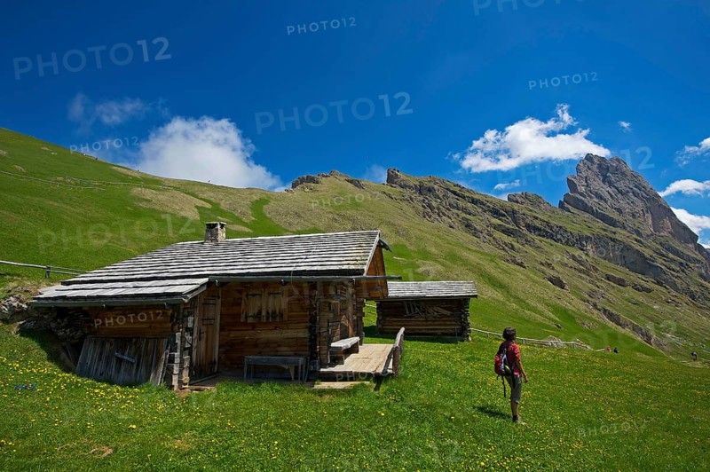 Alpine pasture on the Seceda with Geislerspitzen