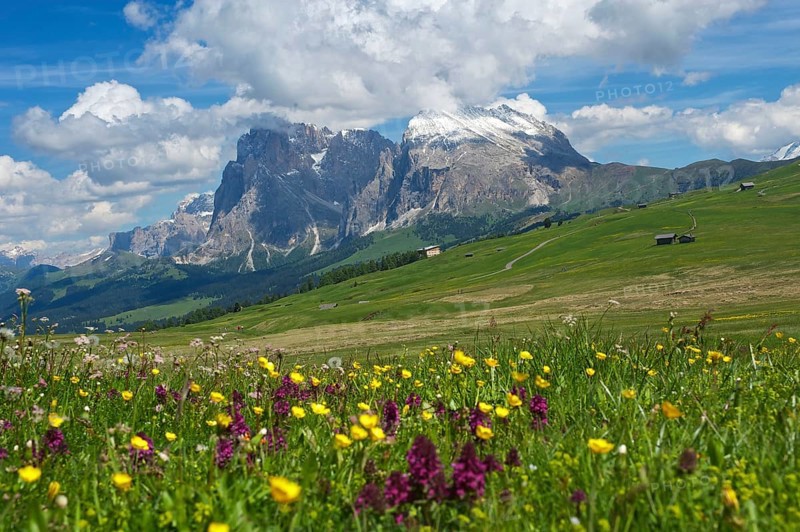 Alpe di Siusi with Sassolungo and Sassolungo