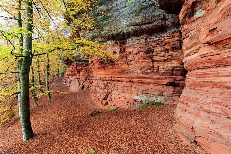 Natural Monument