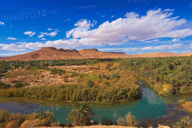 Tafilalet Oasis