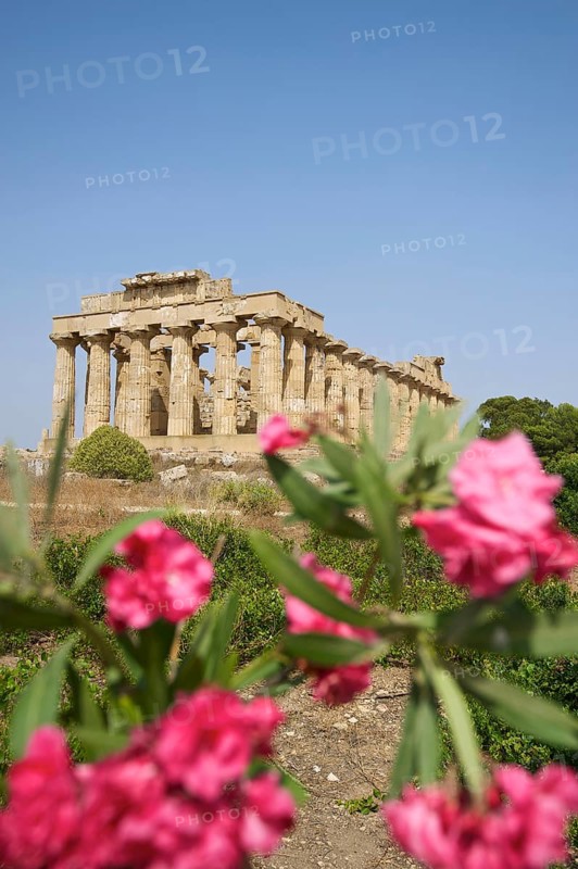 Temple E