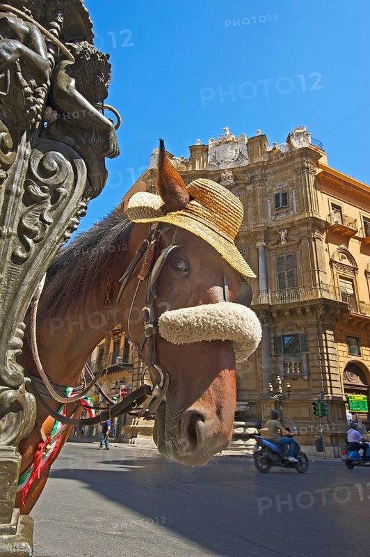 Horse-drawn carriage in Palermo