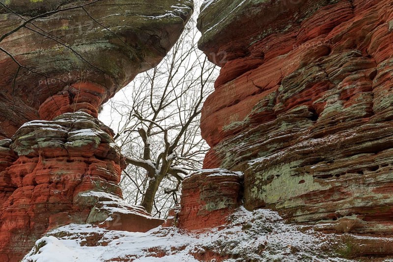 Natural Monument