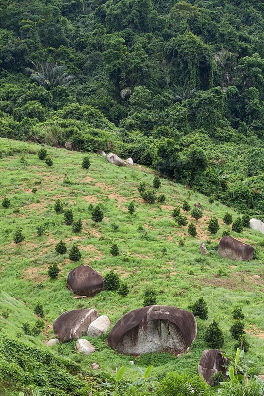 Fertile landscape with stone formations