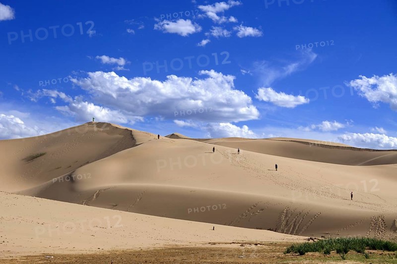 Dune