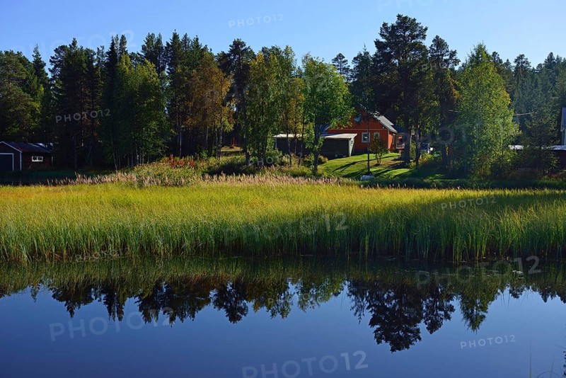 Near Renviken