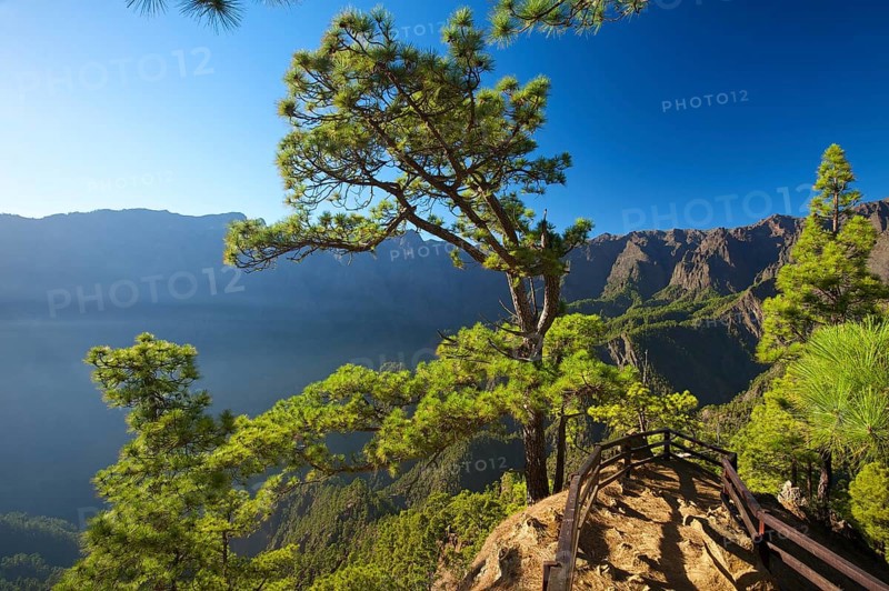 Parque Nacional de la Caldera de Taburiente at Mirador de Las Chozas