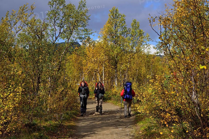 Trekking Nikkaluokta
