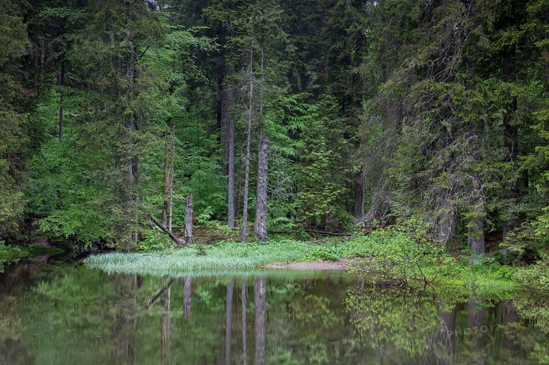 Hoellbach mountain stream