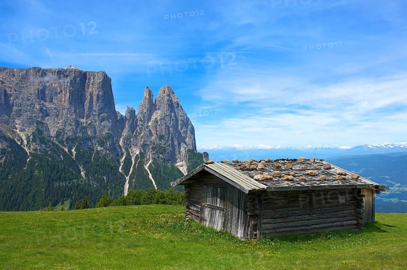 Alpine pasture on the Alpe di Siusi with Sciliar
