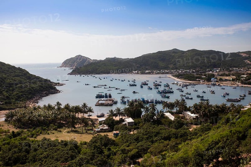 Fishing boats
