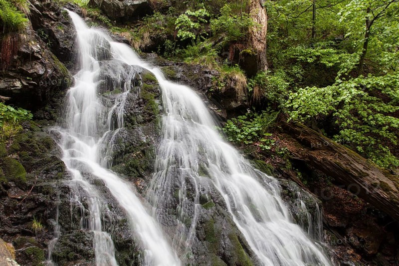 Mountain stream Hoellbach
