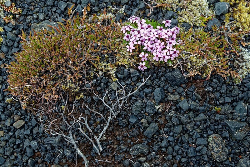 South Iceland