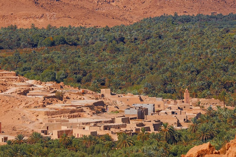 Tafilalet Oasis