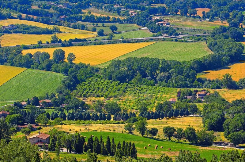 Todi