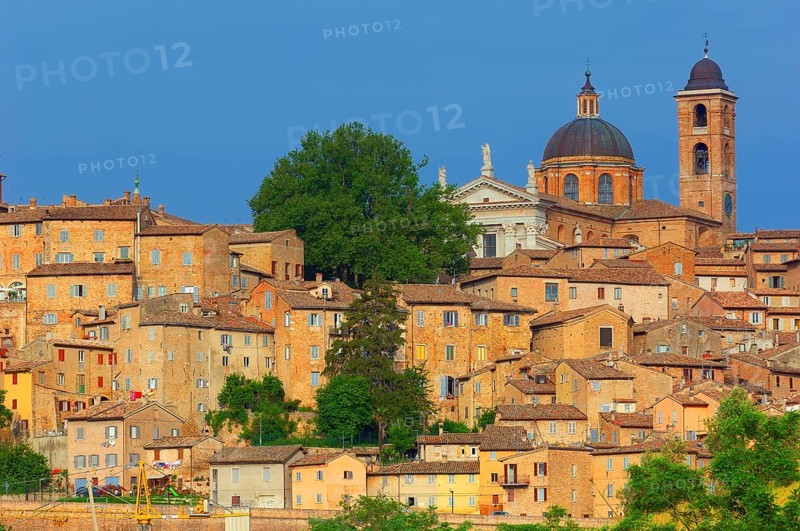 Urbino