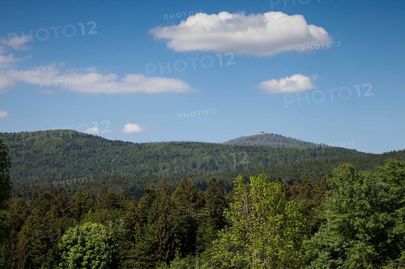 View to the Lusen