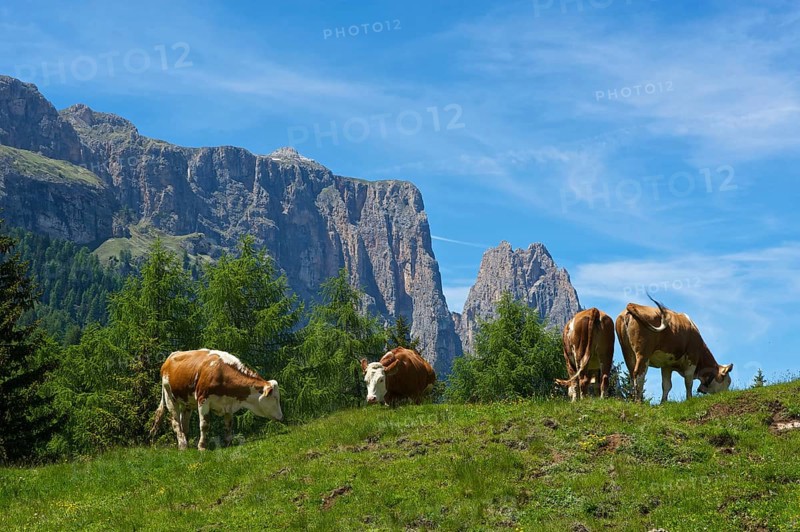 Alpe di Siusi with Sciliar