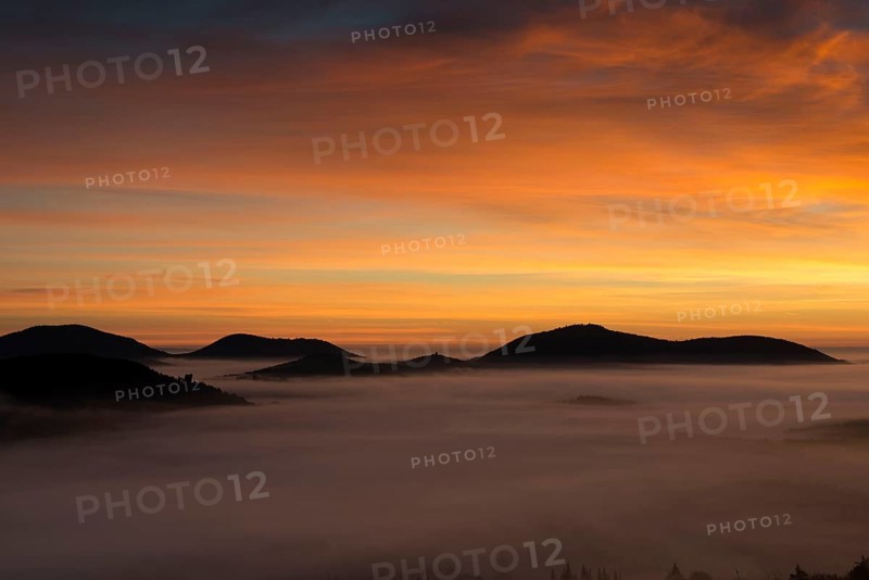 Palatinate Forest