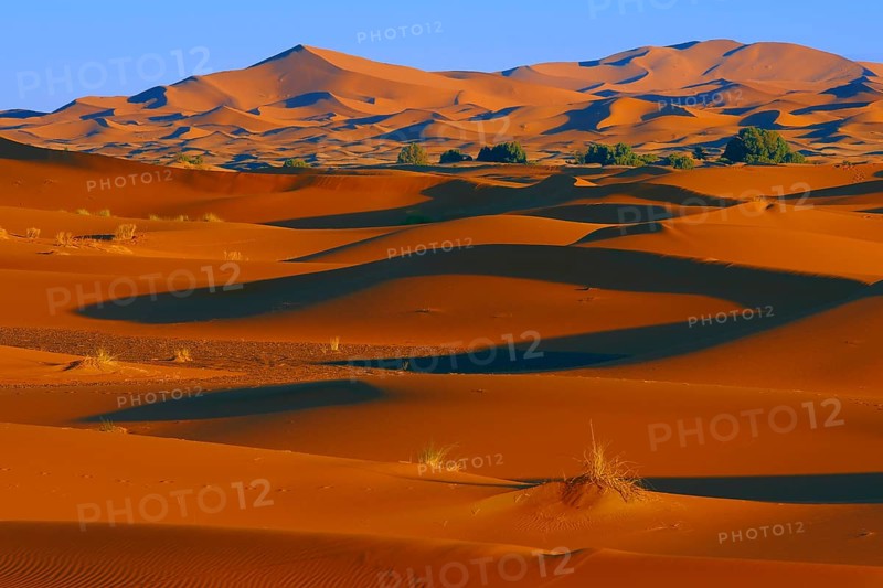 Merzouga