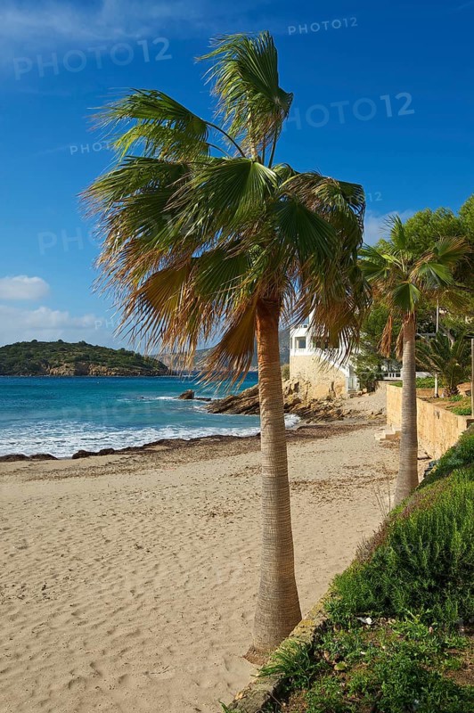 Sant Elm beach