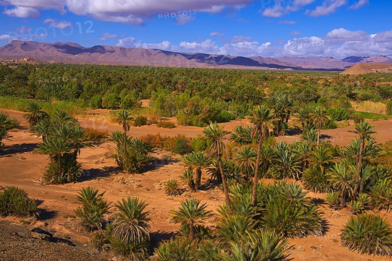 Djebel Kissane