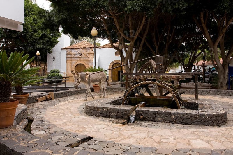 Donkey driving watermill