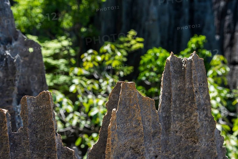 Rock spires of the karst landscape