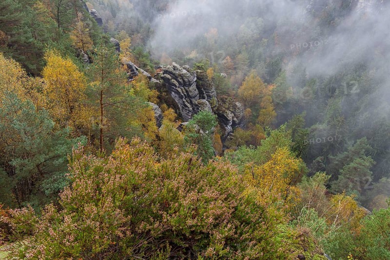 Pavilion view in the Bastei area