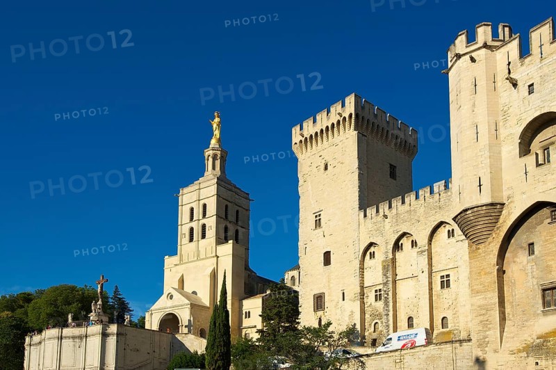 Papal Palace